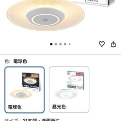 アイリスオオヤマ　シーリングライトの画像