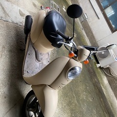 ホンダ AF55 スクーピー 鍵あり 書類あり スクーピー の画像