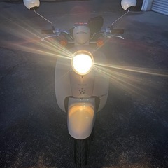 ホンダ AF55 スクーピー 鍵あり 書類あり スクーピー の画像
