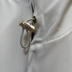 anySISパーカーの画像