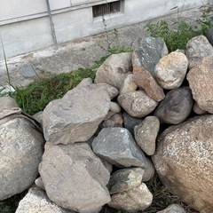庭石の画像