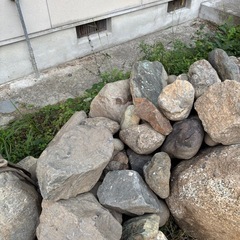 庭石の画像