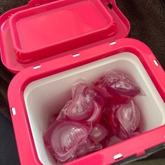 ボールドジェルボール計24個プレミアムブロッサムの香りの画像