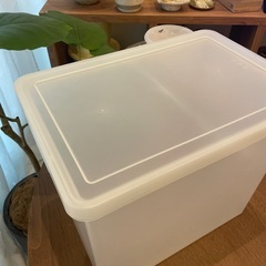 無印良品 収納ボックス 蓋付きの画像