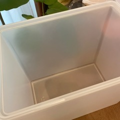 無印良品 収納ボックス 蓋付きの画像