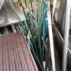 園芸用支柱、イボ竹支柱、緑の棒の画像