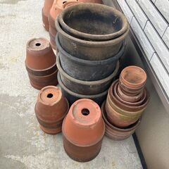 植木鉢　全部まとめて　の画像