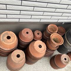 植木鉢　全部まとめて　の画像