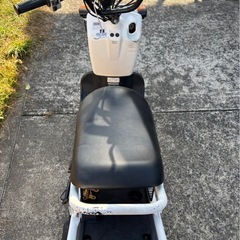 【今年中購入の方お値下げします
】ズーマーの画像