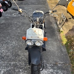 【今年中購入の方お値下げします
】ズーマーの画像