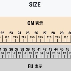 クライミングシューズ ARAGON 24〜25センチの画像