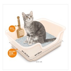 獣医師開発猫トイレの画像