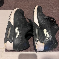 NIKE Air MAX 22.5の画像