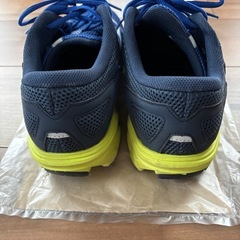 ミズノ　マキシマイザー　27.5cmの画像