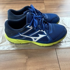 ミズノ　マキシマイザー　27.5cmの画像