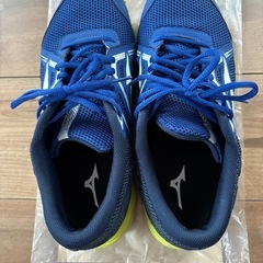 ミズノ　マキシマイザー　27.5cmの画像