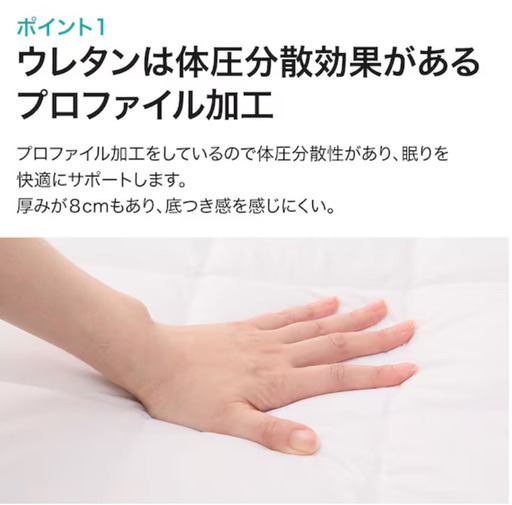 ニトリ 軽量 敷布団 クイーン 抗菌 防臭 防ダニ ホワイト