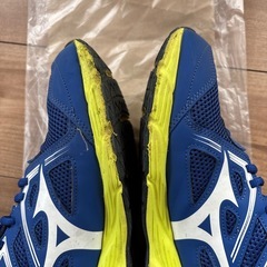 ミズノ　マキシマイザー　27.5cmの画像