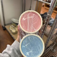 【リユースのサカイ広島石内店】 ジモティ割！！調味料入れ2点セット/クリ-ニング済み/HG-8431/広島市　雑貨　佐伯区　雑貨　南区　雑貨　西区　雑貨　東区　雑貨　中区　雑貨　安佐南区　雑貨　安佐北区　雑貨　安芸郡　雑貨　　海田町　雑貨			の画像