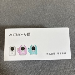 見てるちゃん猫
の画像