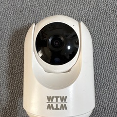 見てるちゃん猫
の画像