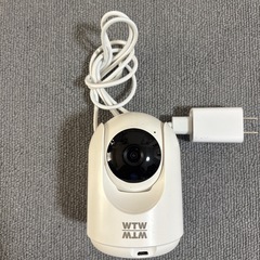 見てるちゃん猫
の画像