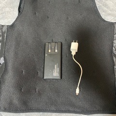 電熱ベスト
の画像