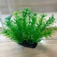 GEX水槽2つ、エアーポンプなどまとめ売りの画像