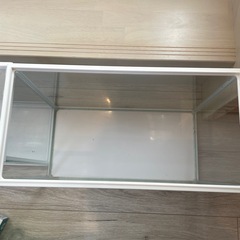 GEX水槽2つ、エアーポンプなどまとめ売りの画像