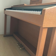 CASIO CELVIANO AP-400CY の画像