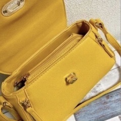 【未使用に近い】ショルダーバッグ2個セットの画像