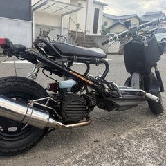 ⭕️(即納可🙆‍♀️)HONDAズーマー改、水冷、キャブ、4スト、ロンホイ、ローダウン⭕️の画像