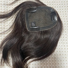 部分カツラの画像