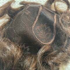 部分カツラの画像