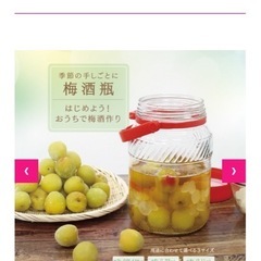 DAISO梅酒瓶（5リットル）の画像