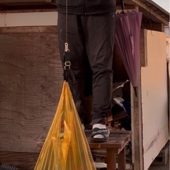 釣り　落とし込み仕掛けショート16号　4本針✖️５セットお徳用　郵送可
の画像