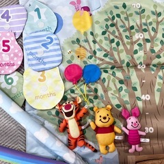 くまのプーさん ベビージム てあそびいっぱい！おうちにへんしんジムの画像