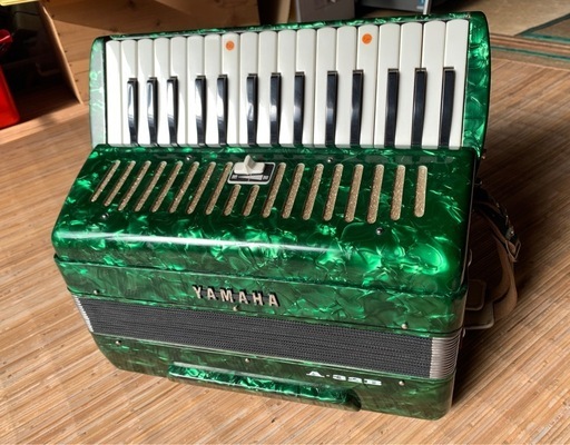 アコーディオン楽器グリーン (あじさい) 田布施の鍵盤楽器、ピアノの