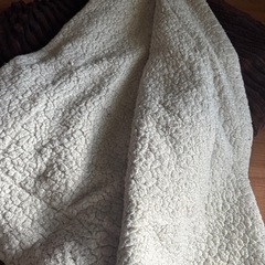 毛布　膝掛け　ブランケットの画像