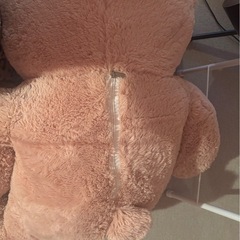 コストコの巨大くまぬいぐるみの画像