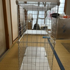 キャットゲージ(子猫用)の画像