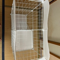 キャットゲージ(子猫用)の画像