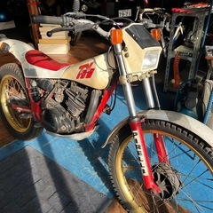 TY250 53Y トライアル　レストアベースの画像