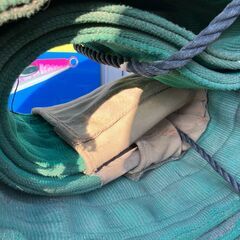 【中古】【動作OK】【店頭引取限定】　スリングベルト　本体のみの画像