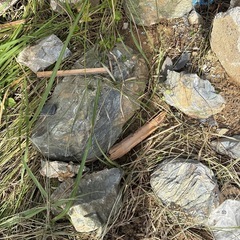 早い者勝ち！ガーデニング庭石の画像