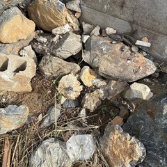 早い者勝ち！ガーデニング庭石の画像