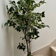 大型フェイクグリーン 観葉植物 いなざうるすの画像