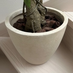 大型フェイクグリーン 観葉植物 いなざうるすの画像