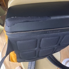 モレスキン　リュック の画像