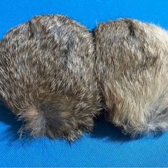 【新品】イヤーマフの画像